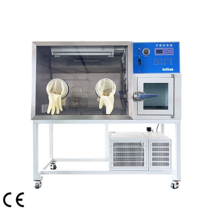Infitek Refrigerated Anaerobic Incubator ICB-AN-HYQIII-Z
